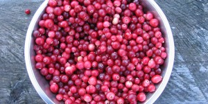 cranberries